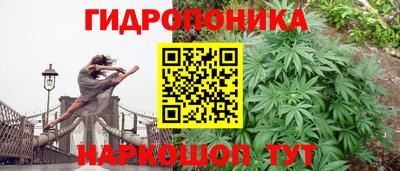 ГАЛЛЮЦИНОГЕННЫЕ ГРИБЫ Балашиха