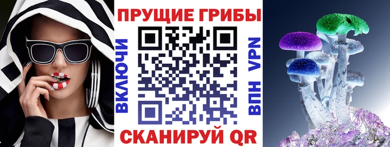купить закладку  Дивногорск  Псилоцибиновые грибы Magic Shrooms 